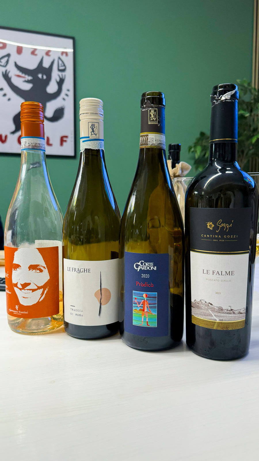 Bardolino and Colli Mantovani wine tasting