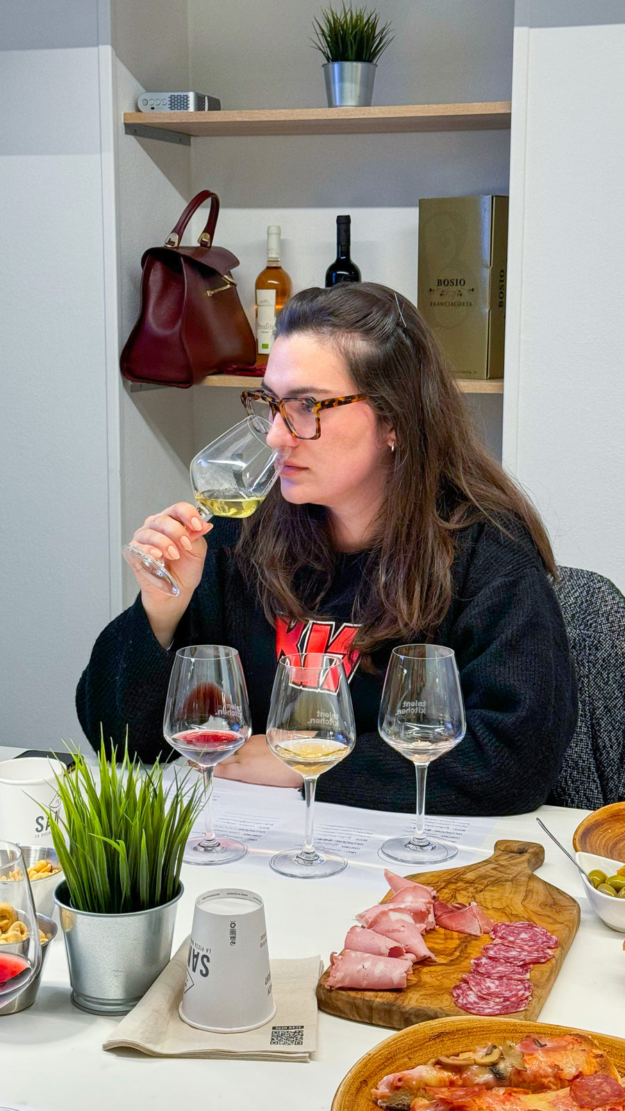 Bardolino and Colli Mantovani wine tasting