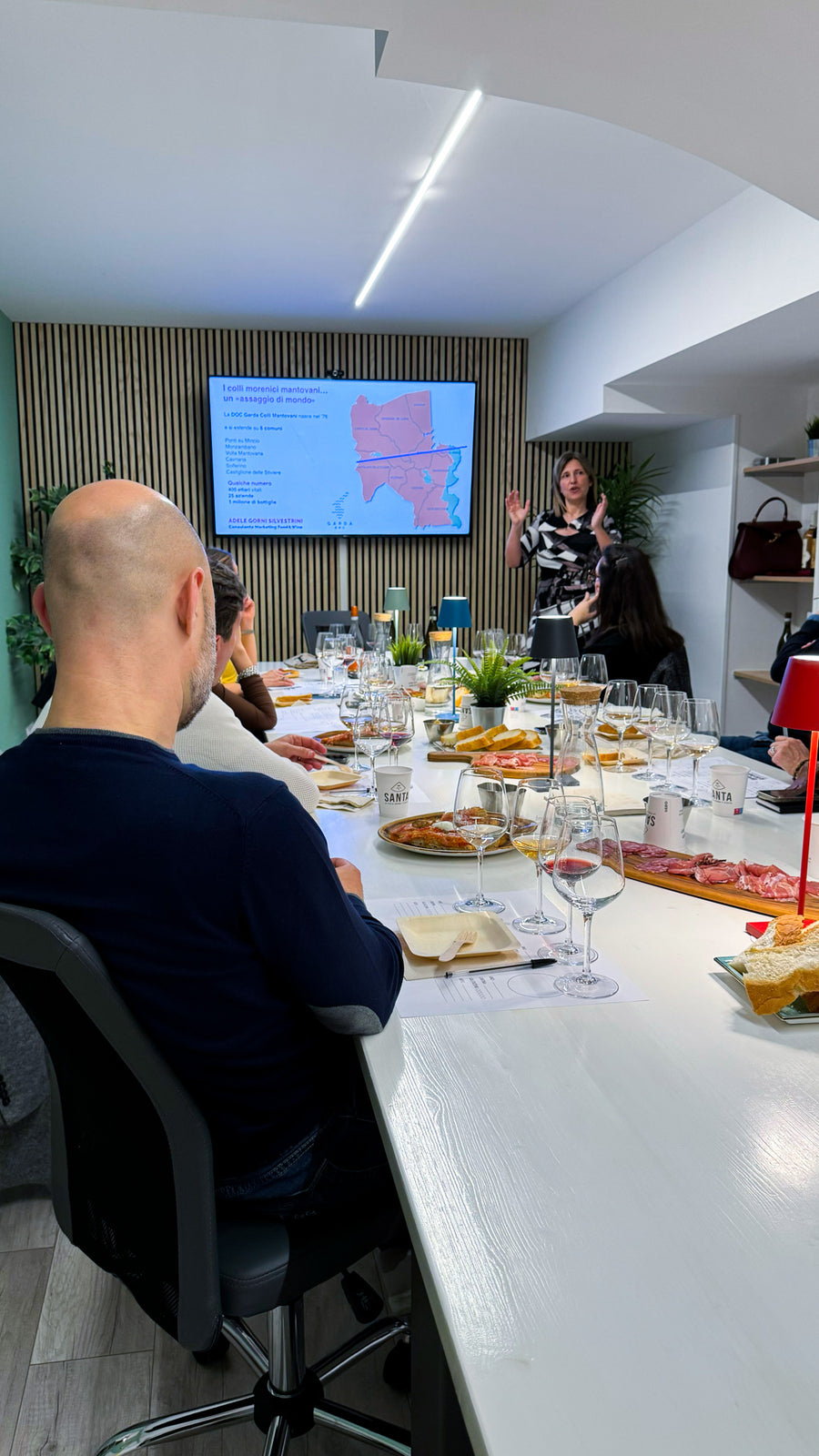 Bardolino and Colli Mantovani wine tasting