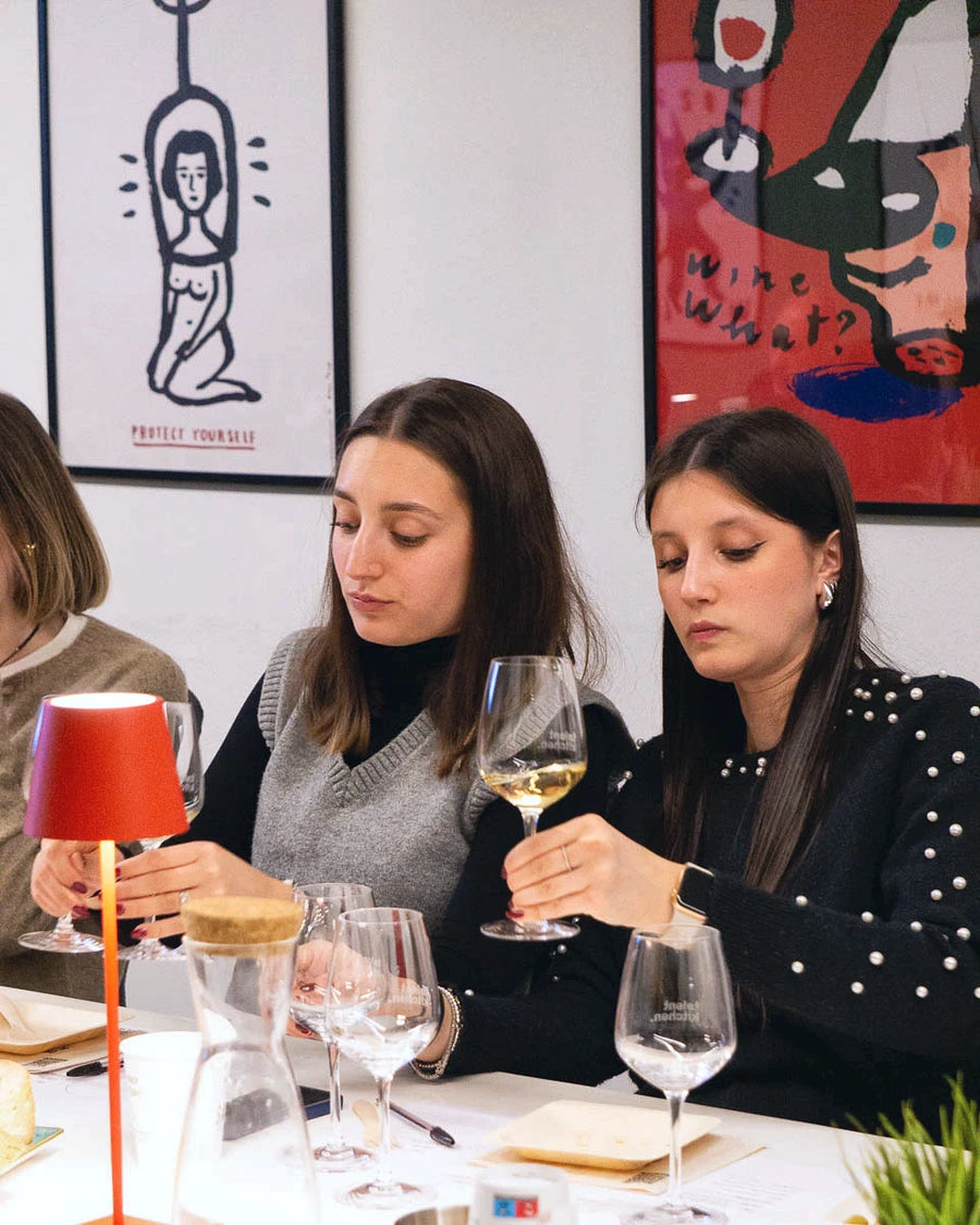Lugana and San Martino della Battaglia wine tasting